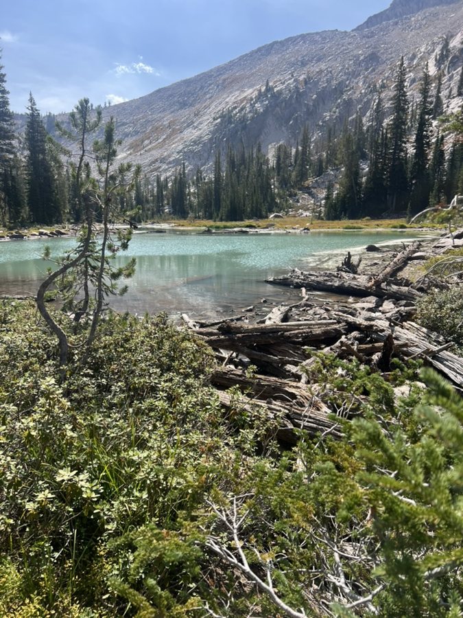 Alpine pond surrounded by pines below a granite ridge