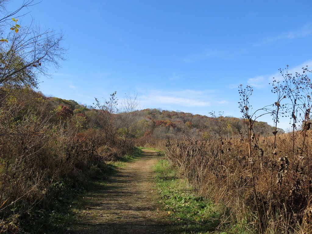 A dirt trail through tall prairie grass toward a hillside of fall color